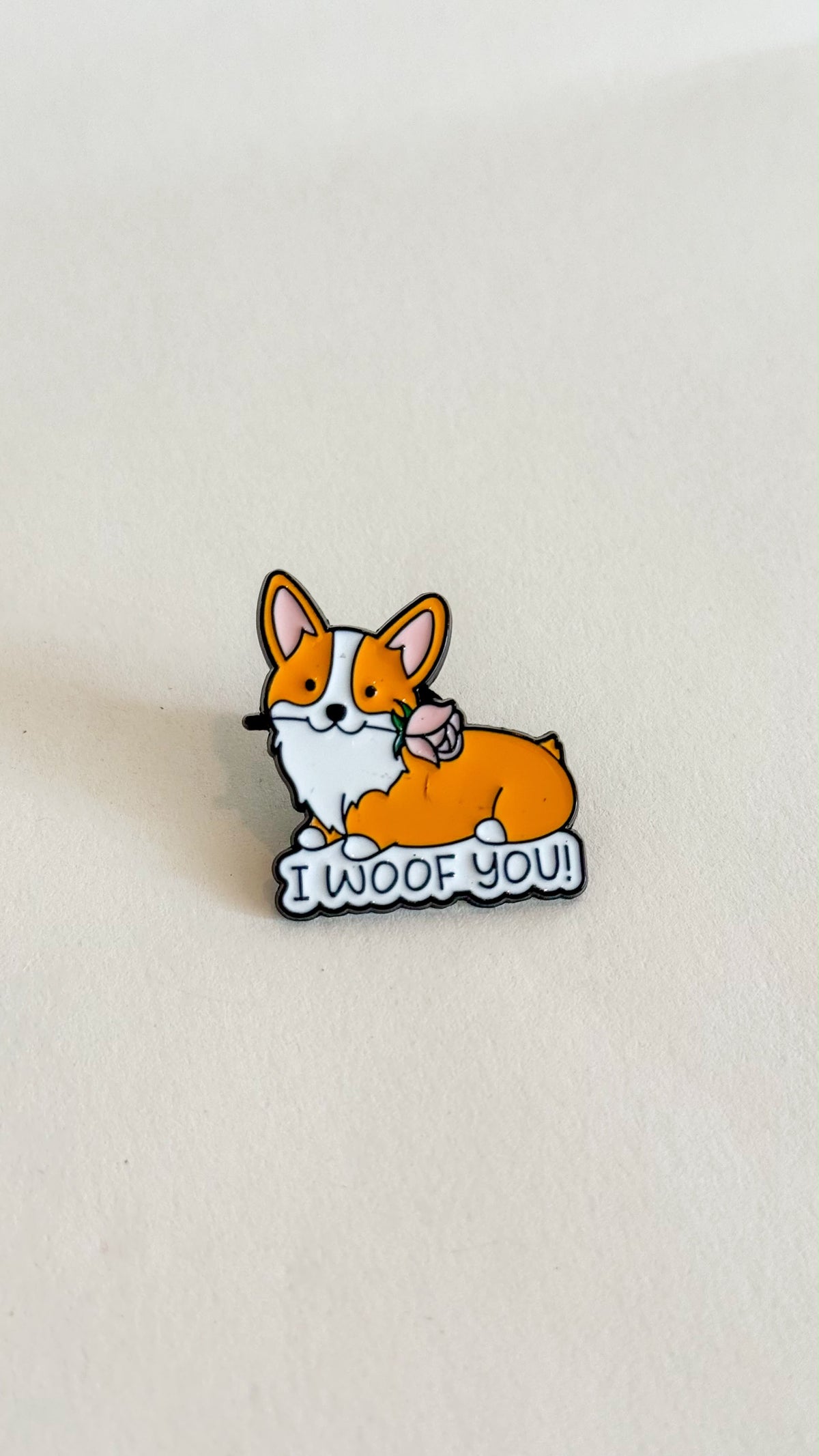 Pins | Fall in love with my pet