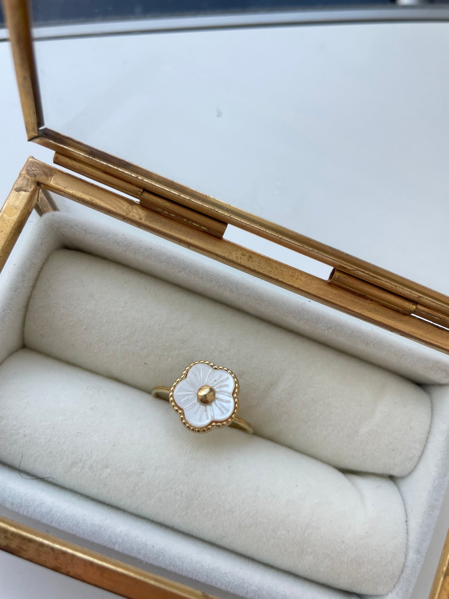 Anel | Flora