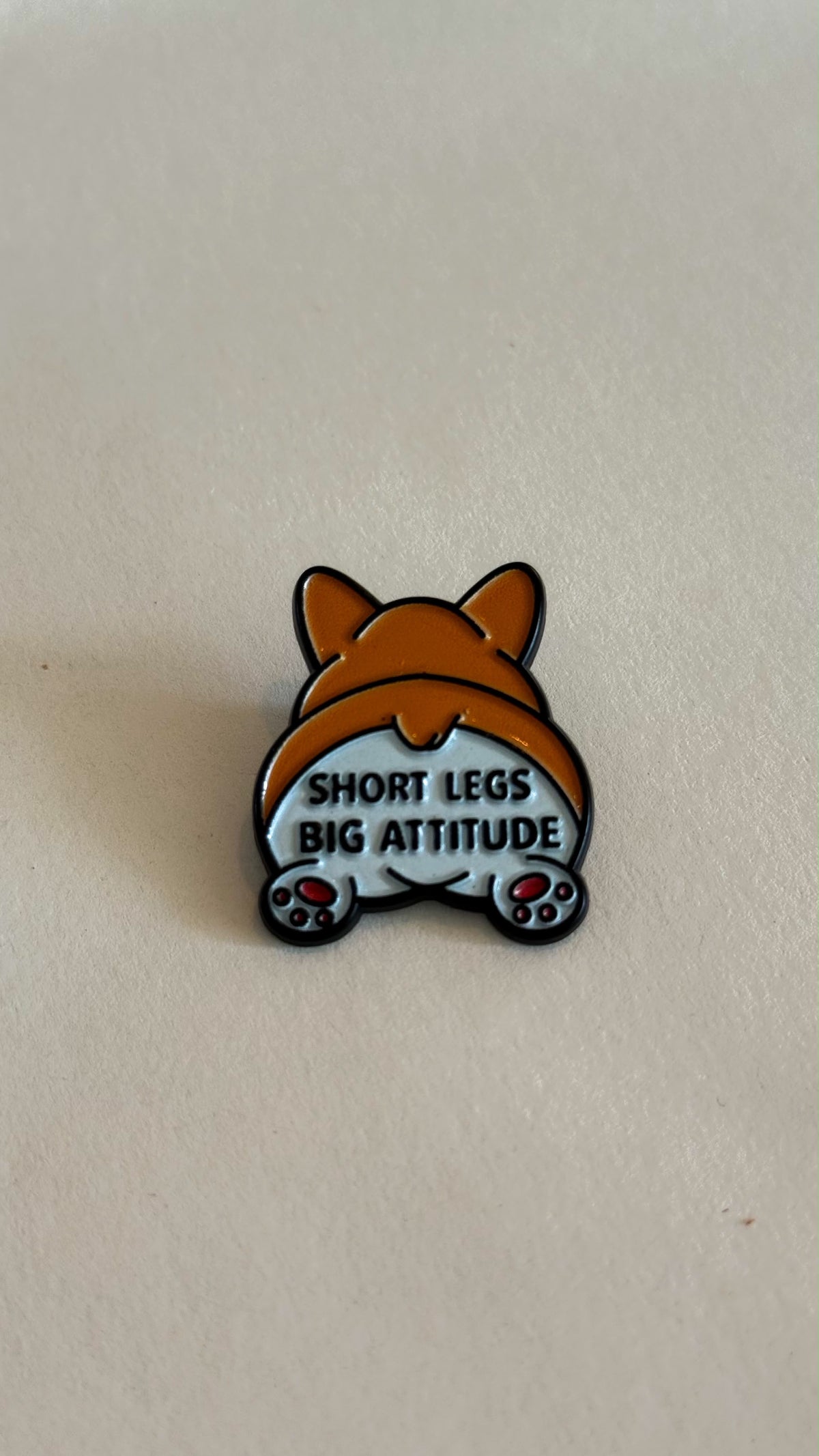 Pins | Fall in love with my pet